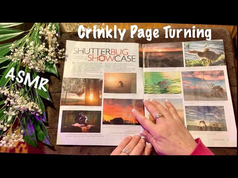 ASMR Magazine flip (No talking) Tennessee Magazines/Crinkly page turning
