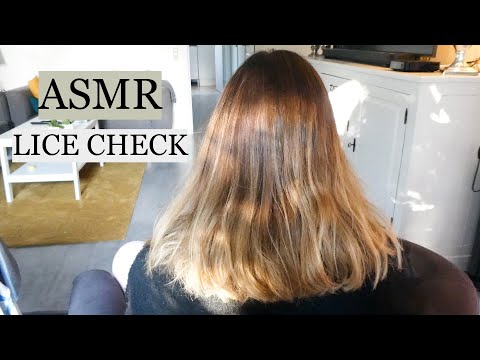ASMR Real Person Lice Check (hair brushing, spraying, hair play, no talking)