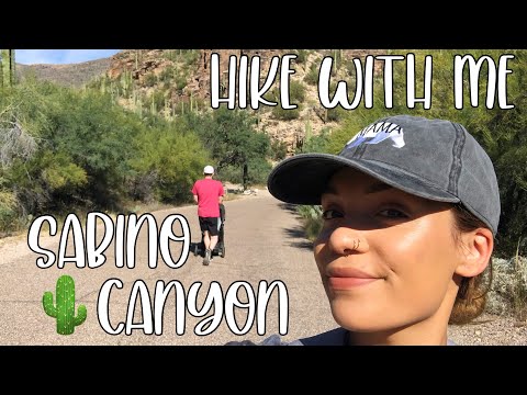 Come On a Hike With Me | Sabino Canyon Hike