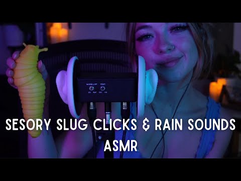 Sensory Slug Clicks and Cozy Rain Background Sounds
