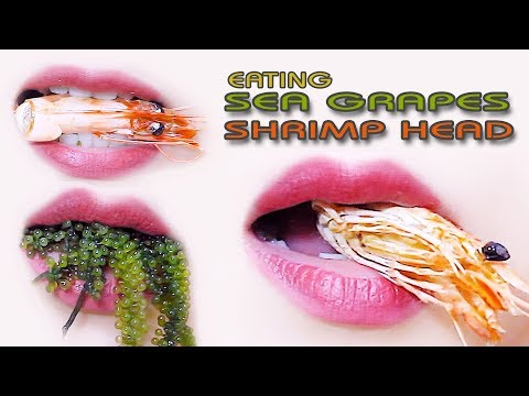 ASMR Eating lips focus | Shrimp head and sea grapes crunchy eating sounds +食べる,咀嚼音,먹방 이팅 | LINH-ASMR