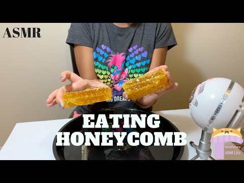 ASMR EATING HONEYCOMB FOR THE FIRST TIME | STICKY MOUTH SOUNDS