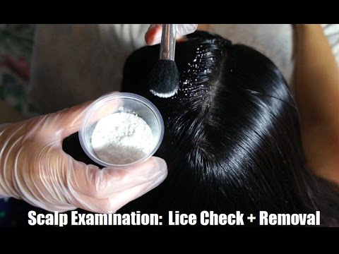 ASMR Scalp Check / Lice Check + Lice Removal REAL PERSON (Plastic Toothpicks, Gloves, Scritching) !!