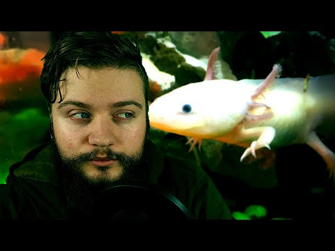 Whispering about axolotls (Weird frog-fish boi) [ASMR]
