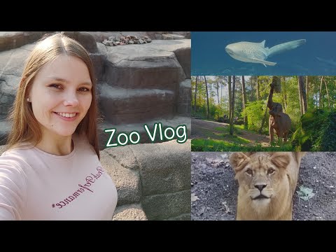 ASMR Vlog Burgers' Zoo Netherlands - Whispered Voiceover (Part 2)