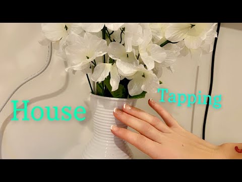 ASMR! Around My House! ( Tapping and Scratching)