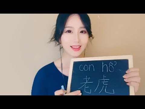 *ASMR* Learn 12 Zodiac Animals in Chinese and Vietnamese