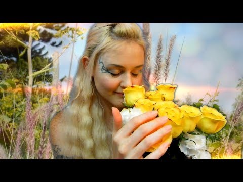 ASMR Fairy Roleplay (Personal Attention)