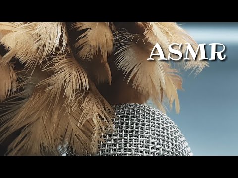 ASMR - Scratching Microphone by Feather Duster - ASMR Scratching Mic (No Talking Videos)
