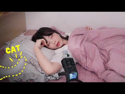 [ASMR] 모와 미모와 함께 평온한(?) 낮잠😺 Take a nap l 수면 ASMR, ZOOMH6