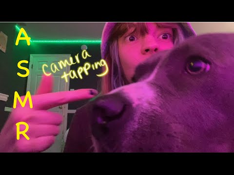 ASMR | Chaotic Lofi Camera Tapping + DOG CONTENT 🐶