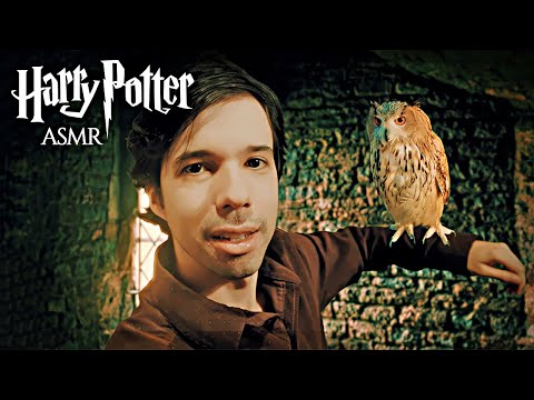 ASMR | Taking Care of Magical Creatures in a hidden Hogwarts Cupboard ◈ Fantastic Beasts 2 inspired