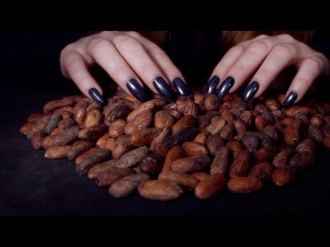 Cacao Beans Means ASMR 😴