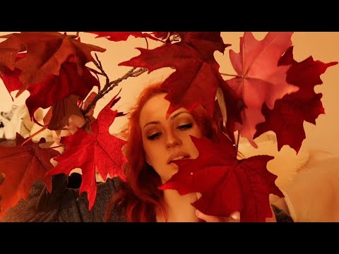 Maple leaves ASMR! Autumn ASMR!