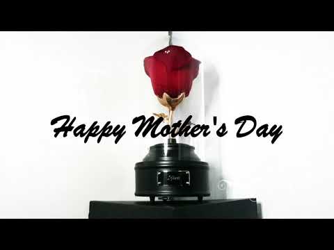 [ASMR 4K] My Mother's Day Gift! ( Short Asmr )