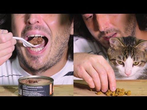 ASMR Man Trying CAT FOOD * Wet and Dry CRUNCHY * 고양이 + 먹방
