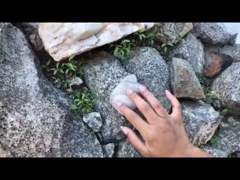 ASMR Fast tapping outside in my backyard