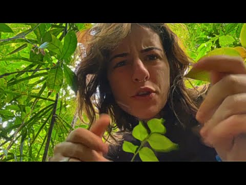 ASMR in the jungle - THERES A FLY ON YOUR FACE 🐞