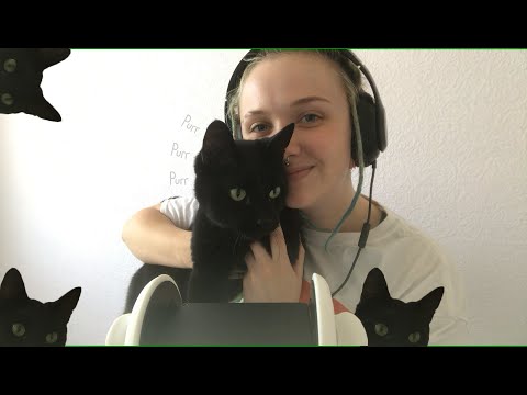 Cat Purring ASMR 😴 Ear Tapping And Cupping 👂💤