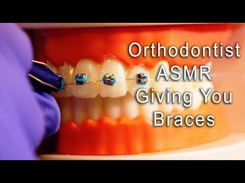 ASMR Orthodontist Gives You Braces | Role Play