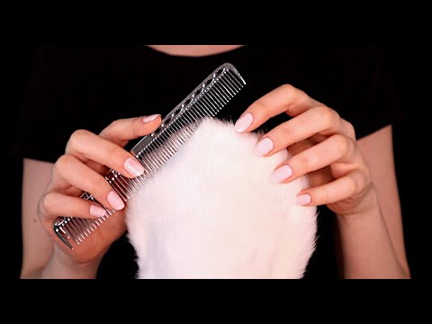 ASMR Triggers for Instant Tingles (No Talking)