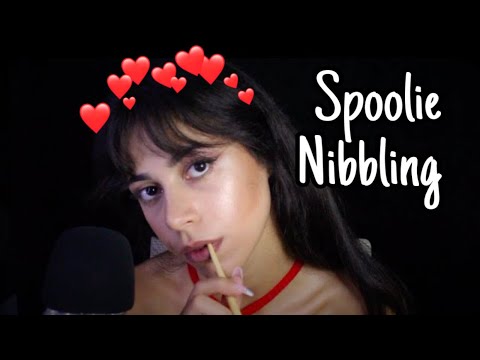 SPOOLIE NIBBLING ASMR MOUTH SOUNDS & HAND MOVEMENTS
