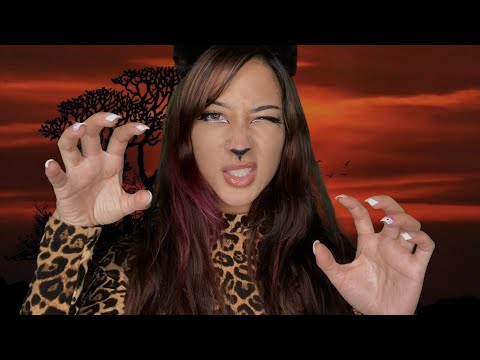 ASMR Purrfectly Tingly Tapping & Scratching 🐆✨