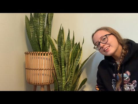 Plant and Pot ASMR 🪴 (Tapping, Scratching, Rubbing)