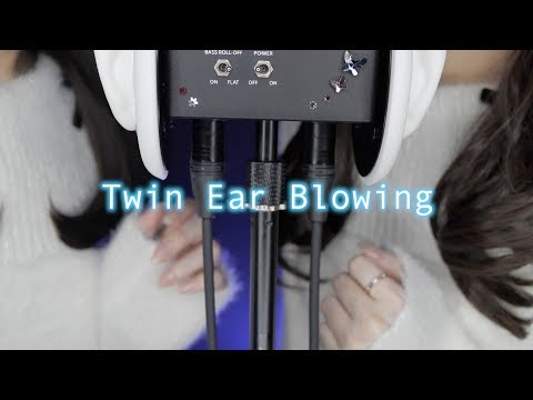 ASMR 双子が耳をくすぐる息を吹きかける | Twin Ear Blowing & Breathing