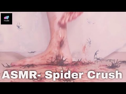ASMR::Barefoot::Halloween spider crush::할로윈 특집 거미 밟는 소리