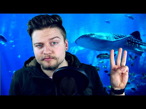 Whispering about Sharks - Part 3 (ASMR)