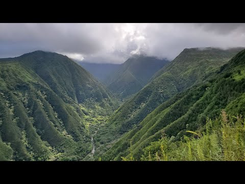 ASMR | Waihee Ridge Trail Outdoors (Maui)