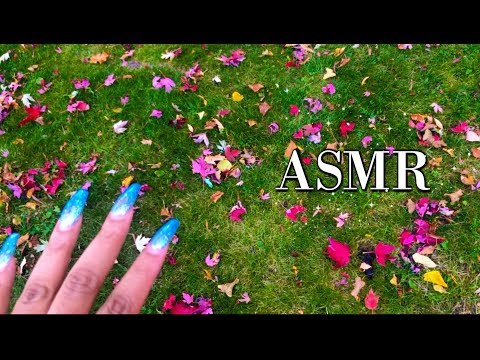 ASMR | Outside Fall Triggers 🍁🍂🌳 (crunching leaves, tapping, walking..) ♡