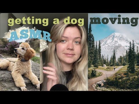asmr life update {moving out west 🌲+ getting a standard poodle?!?} 🐩 whisper ramble & tapping