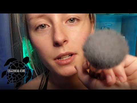 ASMR Your Stern/Toxic Friend Does Your Makeup Roleplay and Personal Attention - Loggerhead ASMR