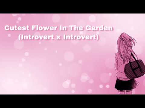 Cutest Flower In The Garden (Introvert x Introvert) (F4F)
