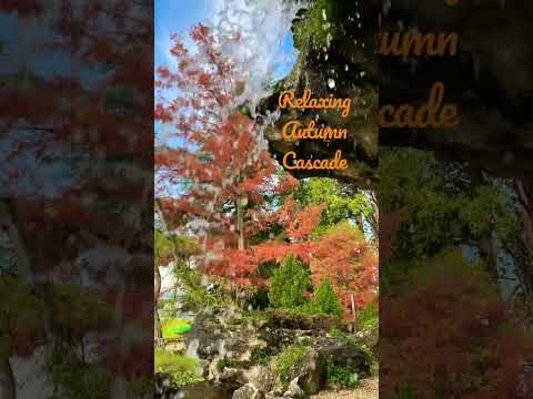 ASMR Autumn 🍂 cascade to relax🧡🍁🧡