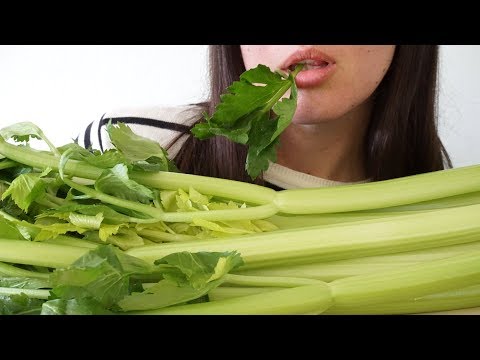 ASMR Eating Sounds: Crunchy Celery (No Talking)