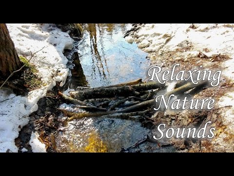 Relaxing Nature Sounds | Water Sounds | Релаксация | Звуки природы | Весенние Ручьи