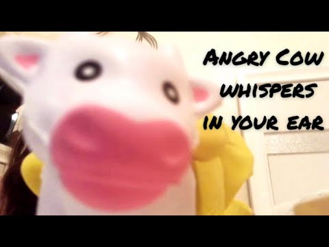 Angry cow whispers into your ear for 1 minute🐮[ASMR]-Glove Video Cut