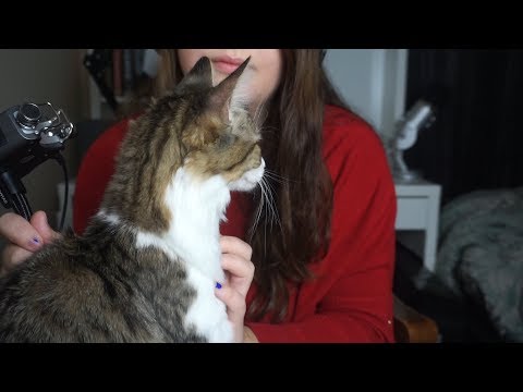 [ASMR] - Cat Petting and Purrrrrrring