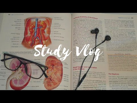 ASMR | STUDY VLOG (inaudible reading/whispering, tracing, mouth sounds, writing)