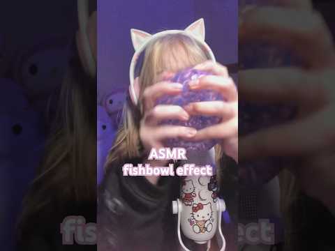 ASMR fishbowl effect #asmr