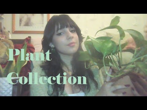 ASMR 🌱 Plant Collection/Tour + Rambling