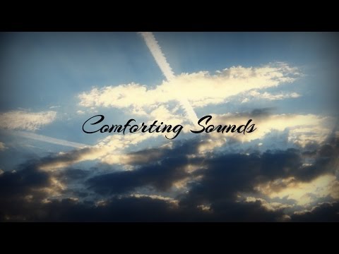Comforting Sounds 2 :: Ocean, Birds and Cat Purring