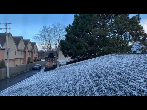 ASMR Morning | Wind, Snow/Hail, & Bird Sounds