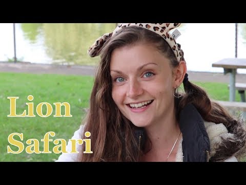 African, Lion Safari 🦁 Vlog 🐆