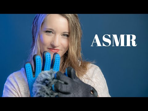 Immune to ASMR? These pet gloves WILL Tickle your brain!