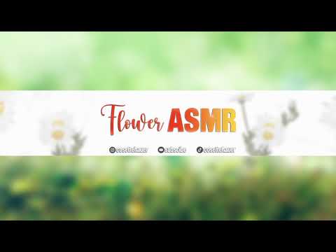 Flower Asmr is going live with Cloud Asmr