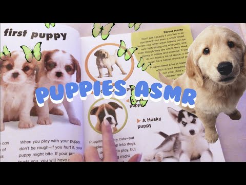 reading about puppies 🐶ASMR